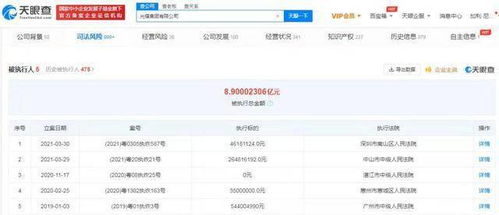 光耀集團破產風波 計算機軟件開發業務的重挫與反思